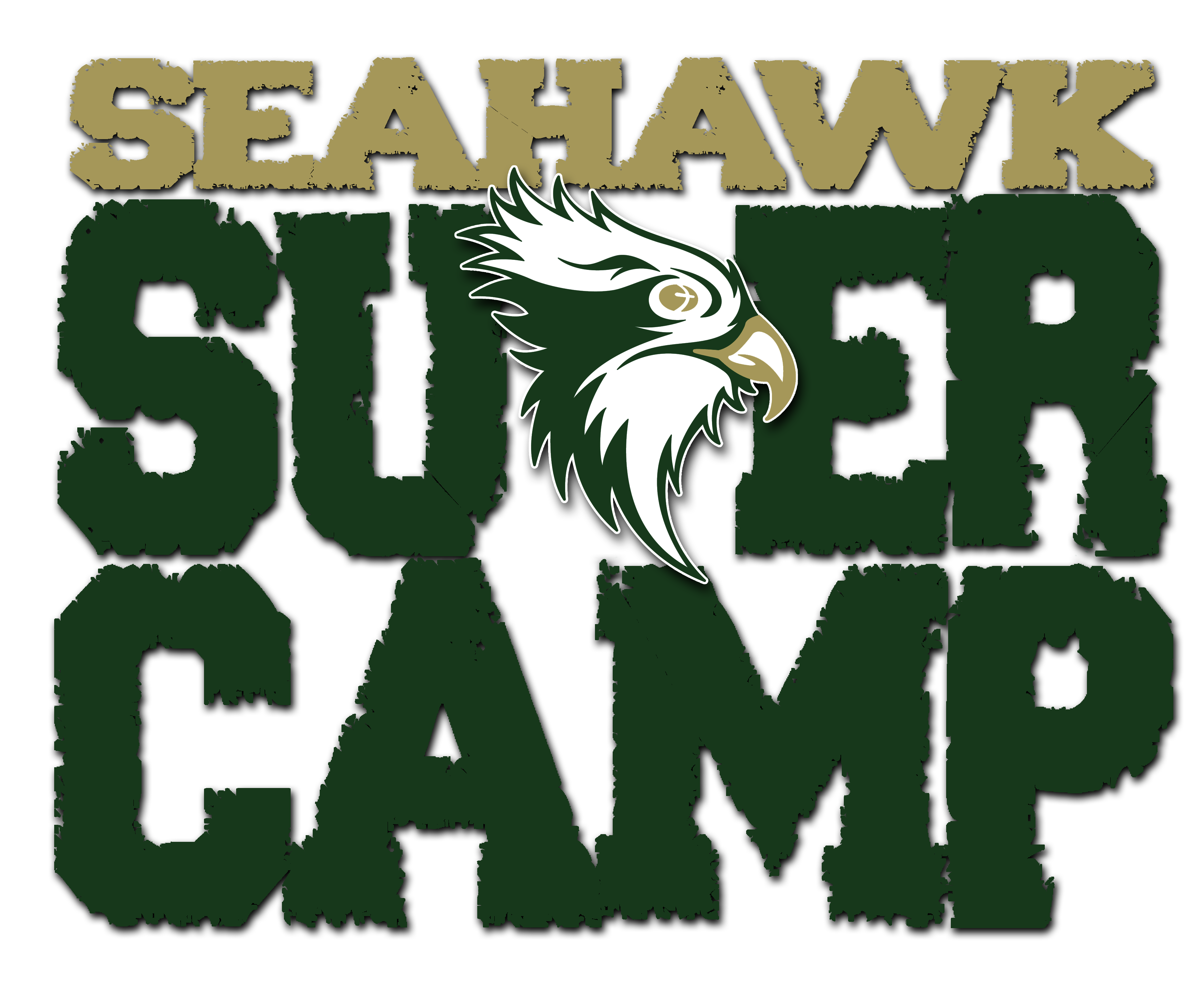 SuperCamp-logo-w-Seahawk-REV-022013
